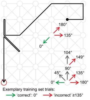 Grid paradigm showing cursor movement toward a target